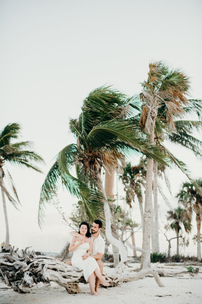 bride and groom sitting on driftwood on the beach with palm trees in the background 