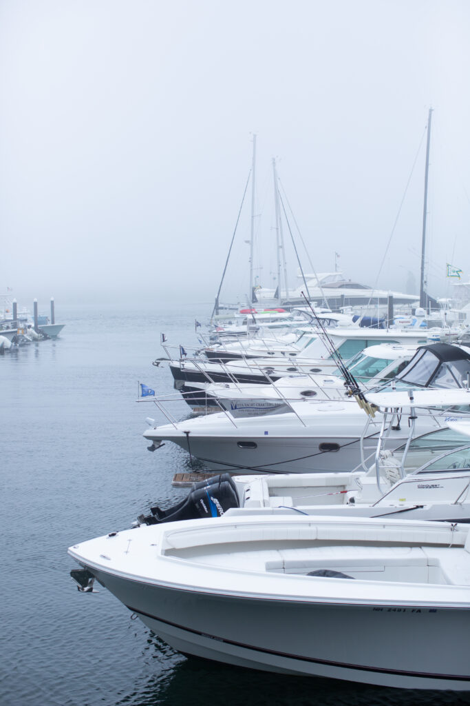 foggy morning picture of boats at dock